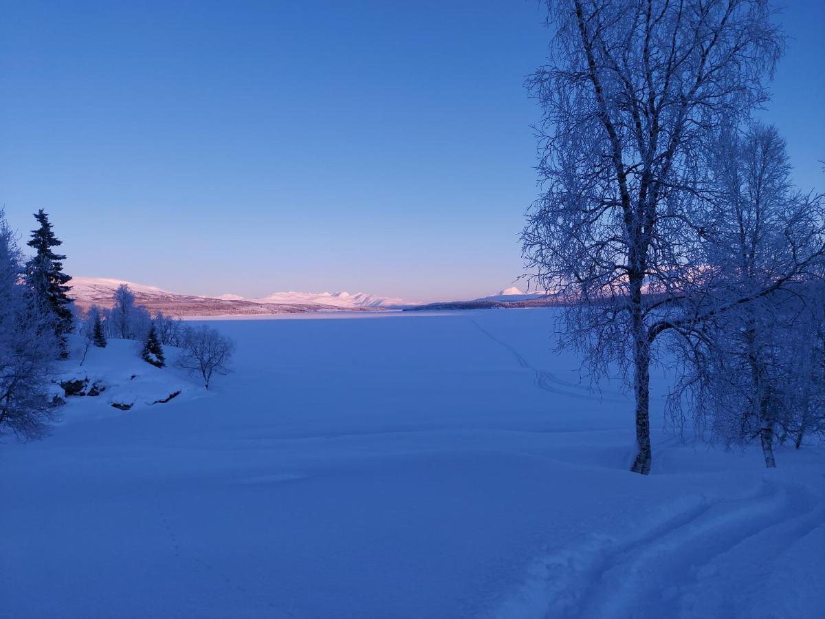 Villmarksgard Tommerstue Hattfjelldal Exterior photo